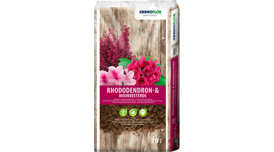 rhododendron.png