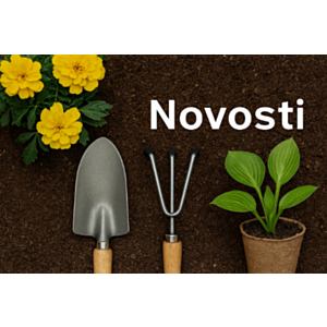 Novosti