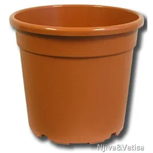BAMAP- CONTAINER PISTOIA 18/P/TERRAC./rjava/3,8L/3000/P