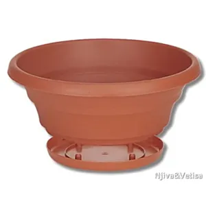 BAMAP- CIOTOLA 30/TERRAC./rjava/6L/25/VREČO