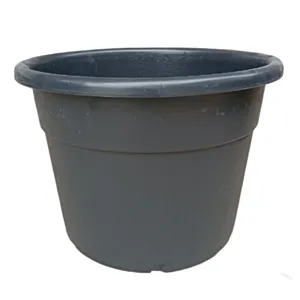 BAMAP- MASTELLO PISTOIA 60/P /NERO/črna/110L/120/P