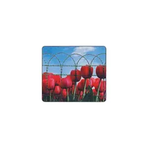 MRT-FLORITOR Mreža za grede 400 mm x 10 m