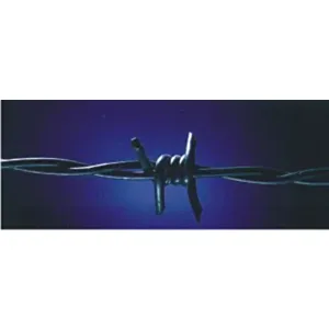 MRT- BRAVO Bodeča žica PVC ZELENA 15 cm X 2,4 mm / Rola 250 m