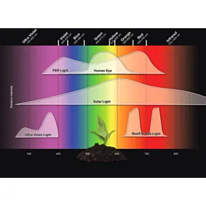 STEPS 32020 - LUX multimeter - M. za svetlobo