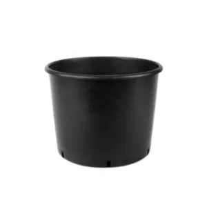 BAMAP- VASSO VIVAIO 26/B/NERO/črna/10L/1600/P