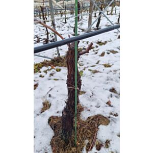 Količek stekloplastična vlakna 1500 x 10 mm -v paketu 100 kos/cena na pak