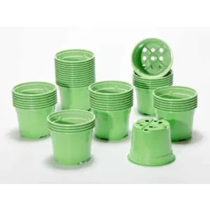 SOPARCO-barvni lončki 10,5cm/low 5/GREEN EB/zelen 920x30=27600 kom