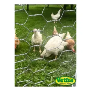 Vetisa-METAL- Hexagonal mesh -Šestkotna pocinkana mreža 16/0,7/1000 RO 50 M