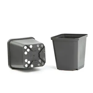 GOTT LONČKI 8x8x8,5cm /BLACK/Karton/1750 kom x 16=28.000