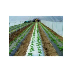 VETISA lirsa črno/bela 1,2 m širine - 0,027mm, cena-rola 500 tm