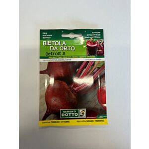 Seme Detroit 2 - Rdeča pesa (277)