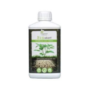 Organics nutrients - Big start 0,5L