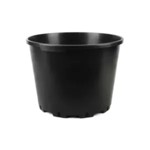 BAMAP-VASO BASSO BlueberrY, fi 40, višina 31 cm, 35 litrov/lonec za borovnice