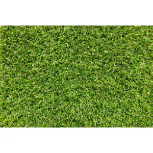 MX- VETISA Umetna trava, širina 2 m, 25mm- 8 Let gar/Verde/zelena /Cena na tkm