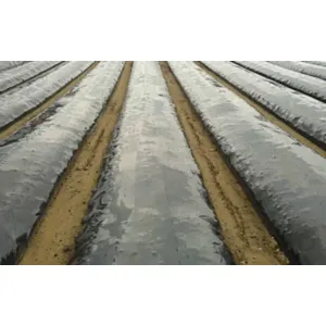 Zastirna folija LIRSA Daios P. črna 30mic 1,4m x 1500m