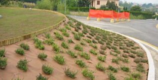 DuPont™ Plantex® Gold - polipropilenska protiplevelna vlaknina