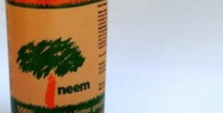Neem - Naravno listno gnojilo