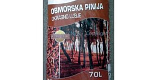 VETISA- Okrasno lubje Obmorska pinija