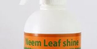 Neem shine-lesket listov