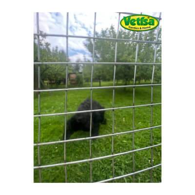Vetisa-METAL- Cage fence - Mreža za kletke 0,90/10/10/1000 RO 25 M