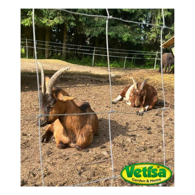Vetisa-METAL- Farmer fence -Kmetijska mreža 200/19/15 HEAVY GAL. (2,0/2,5)R/50m