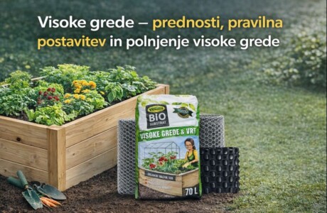 Visoke grede – prednosti, pravilna postavitev in polnjenje visoke grede
