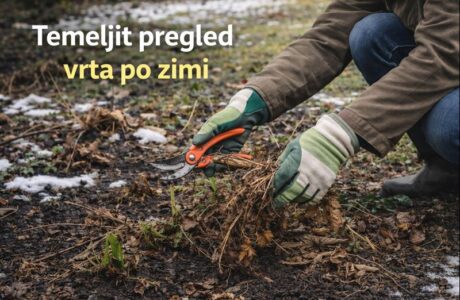 Spomladanska priprava vrta – kontrolni seznam za uspešno vrtnarsko sezono
