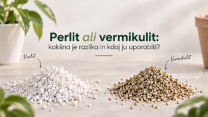 Perlit ali vermikulit: kakšna je razlika in kdaj ju uporabiti?