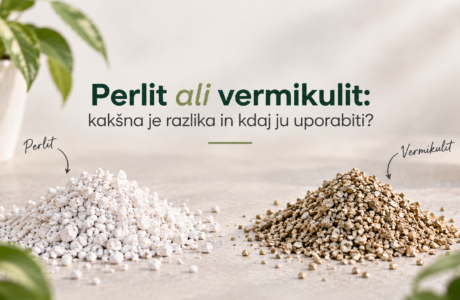 Perlit ali vermikulit: kakšna je razlika in kdaj ju uporabiti?