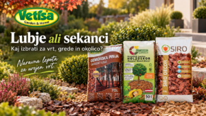 Lubje ali sekanci – kaj izbrati za vrt, grede in okolico?