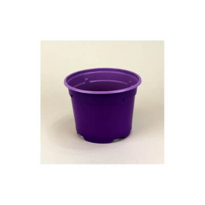 SOPARCO-barvni lončki 10,5cm/5/violet B1/VIOLIČNA 920x30=27600 kom